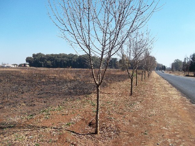 Land in Henley on Klip, Vaal Marina, Gauteng 3 - 18039226