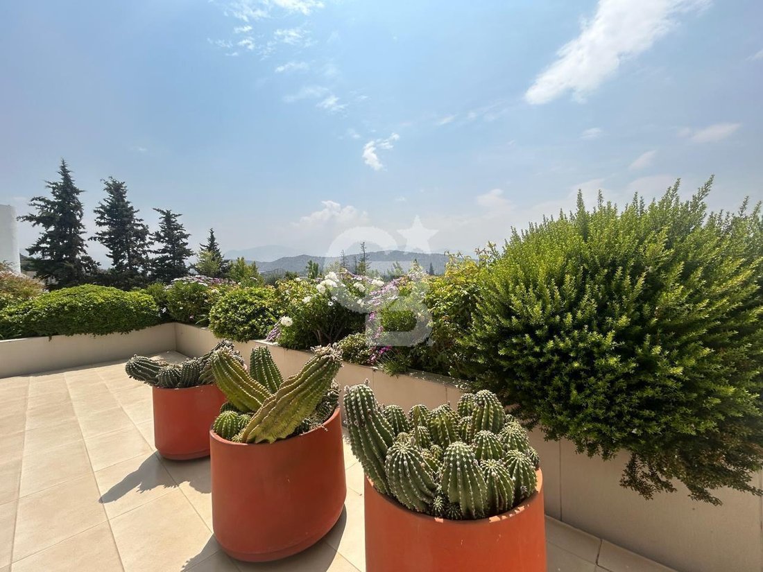 Apartment in Lo Barnechea, Santiago Metropolitan Region, Chile 4 - 18039606