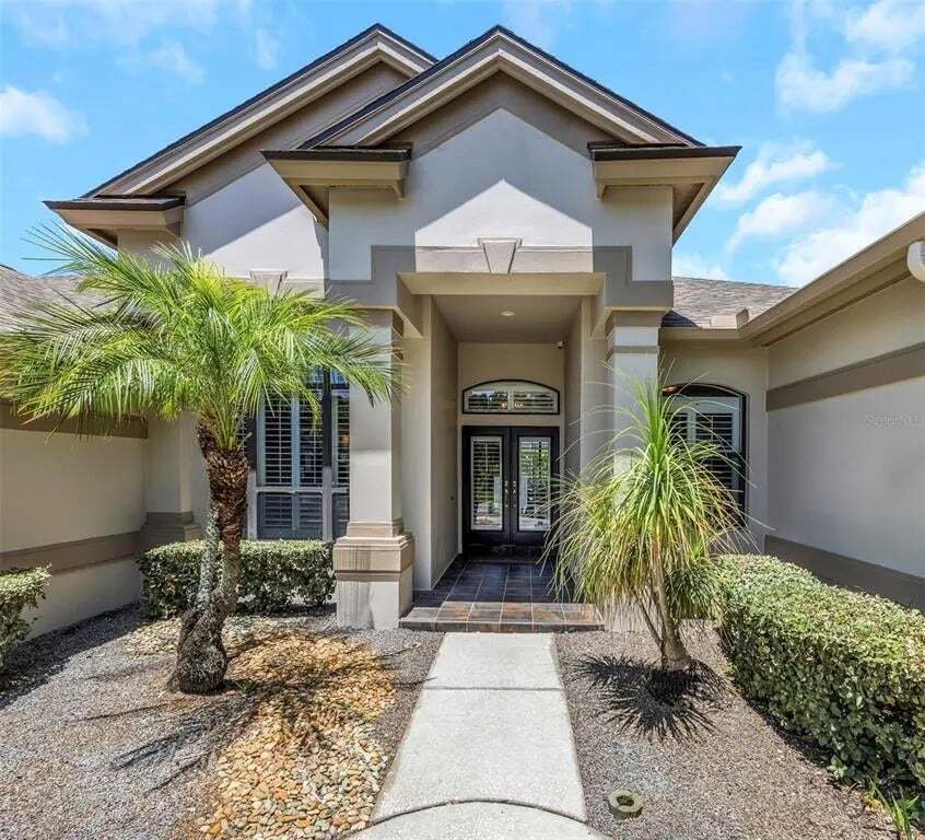 House in Palm Harbor, Florida, United States 3 - 18049384