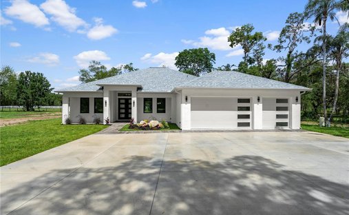 House in New Port Richey, Florida, United States 1