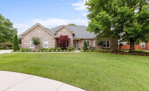 House in Madison, Alabama, United States 1
