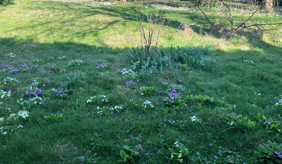 Land in Côte Saint Louis, Garches, France 5 - 18040931