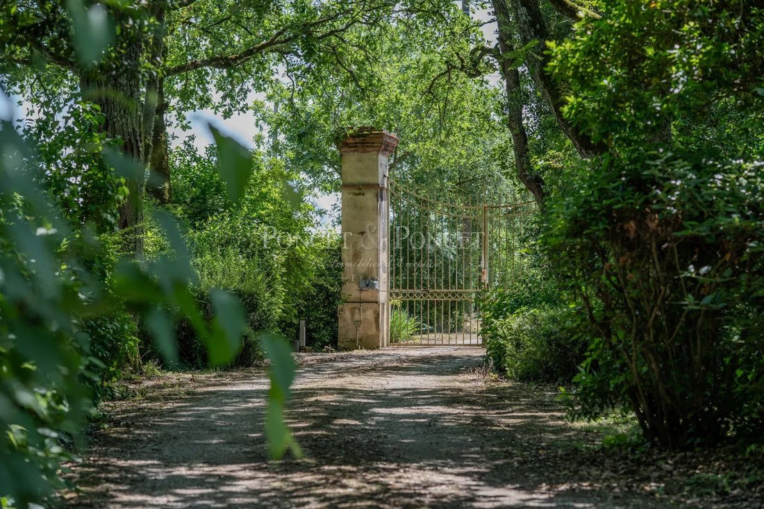 Castle in Saint-Sulpice-la-Pointe, Occitania, France 3 - 18047304