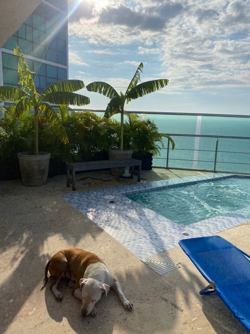 Apartment in Cartagena, Sucre, Colombia 2 - 18050052