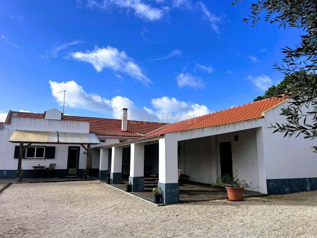 Farm Ranch in Branca, Santarem District, Portugal 3 - 18041238