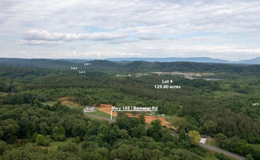 Land in Riceville, Tennessee, United States 1