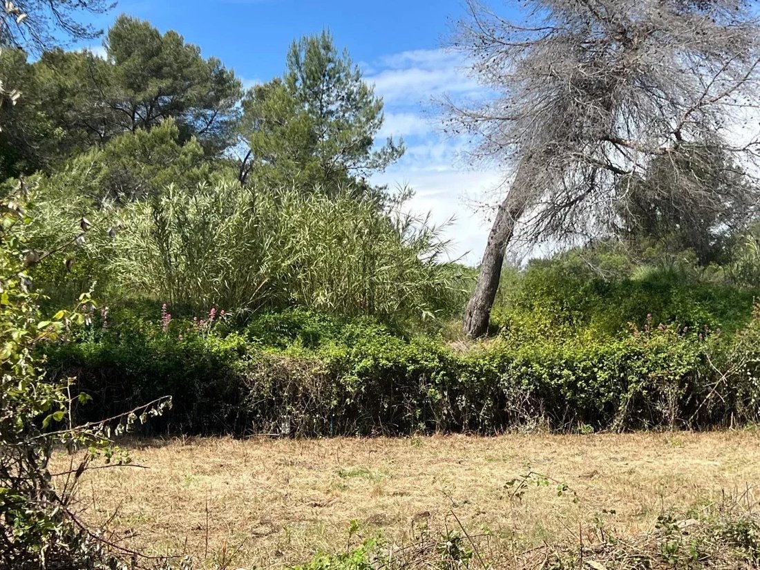 Land in Mougins, Provence-Alpes-Côte d'Azur, France 5 - 17501810
