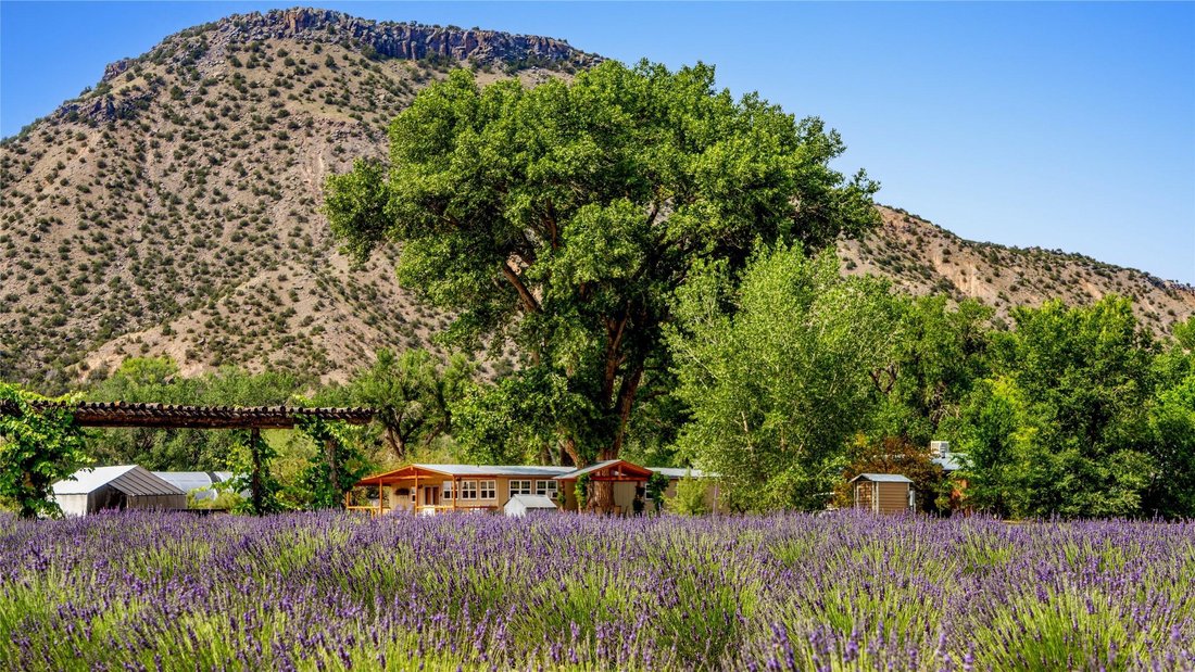 Farm Ranch in Abiquiu, New Mexico, United States 2 - 18039955