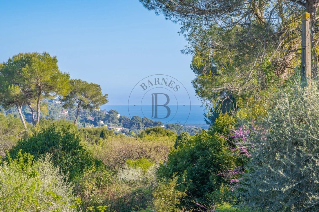 Villa in Mougins, Provence-Alpes-Côte d'Azur, France 3 - 17726886