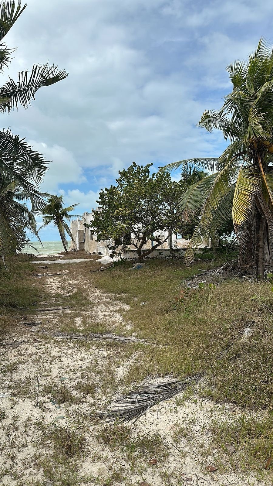 Land in San Benito, Yucatan, Mexico 4 - 18035794