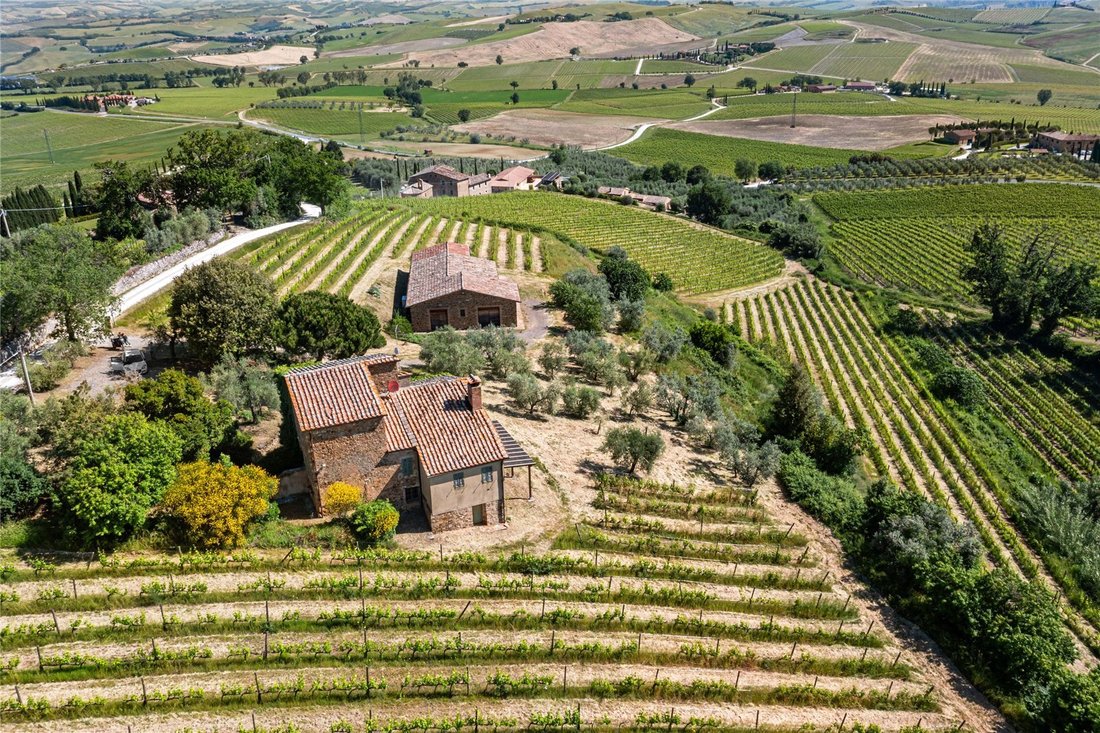 House in Montalcino, Tuscany, Italy 3 - 18038570