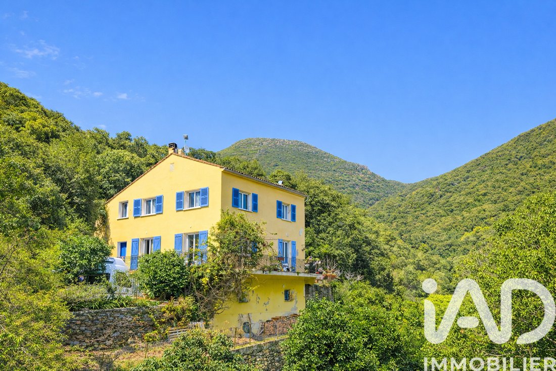 House in Olmeta-di-Capocorso, Corsica, France 1 - 17227547