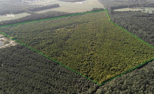 Land in Chesapeake, Virginia, United States 1