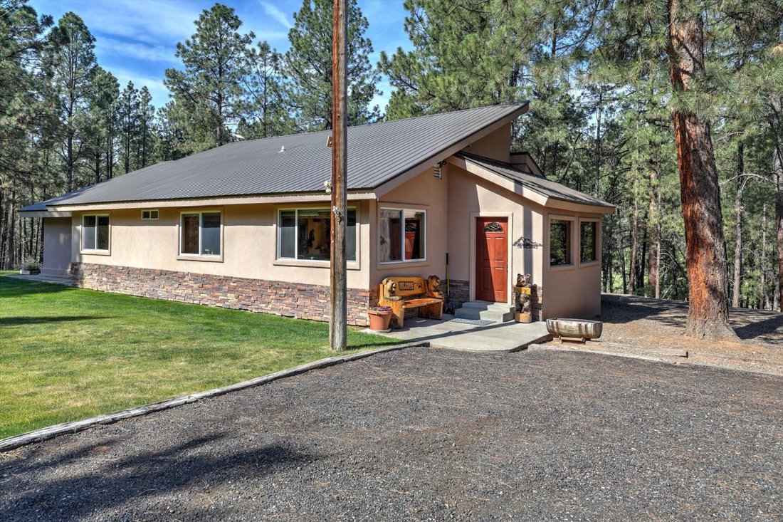 House in Pagosa Springs, Colorado, United States 1 - 18039762