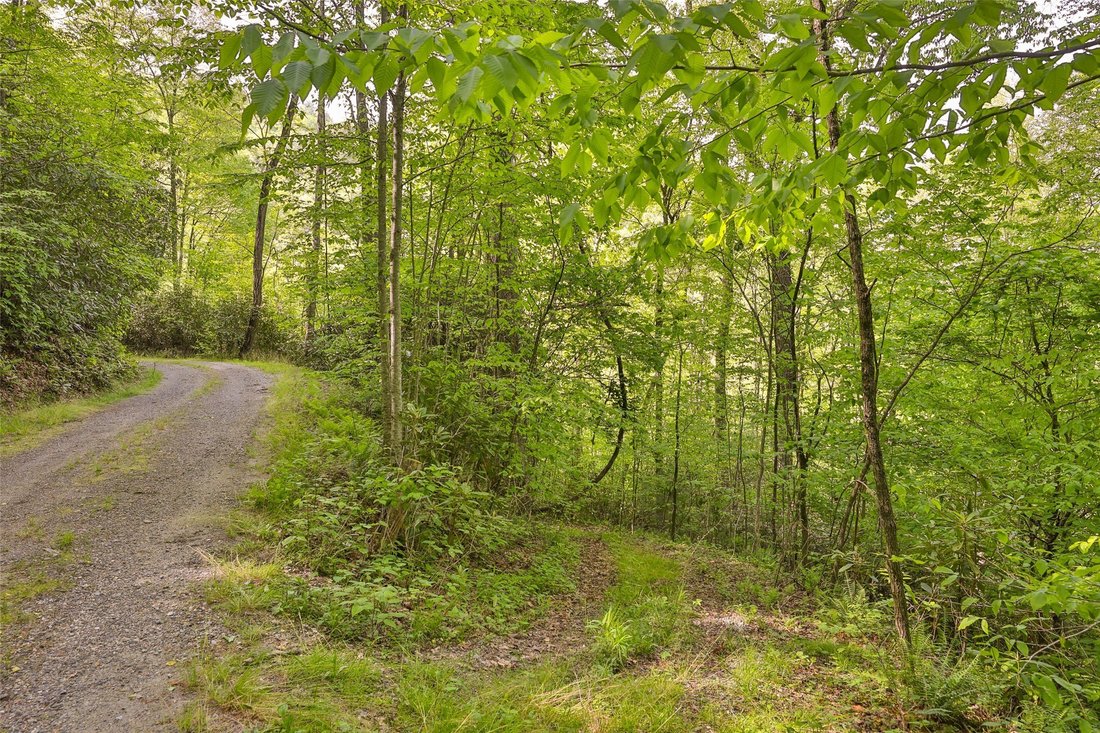 Land in North Carolina, United States 4 - 18043134