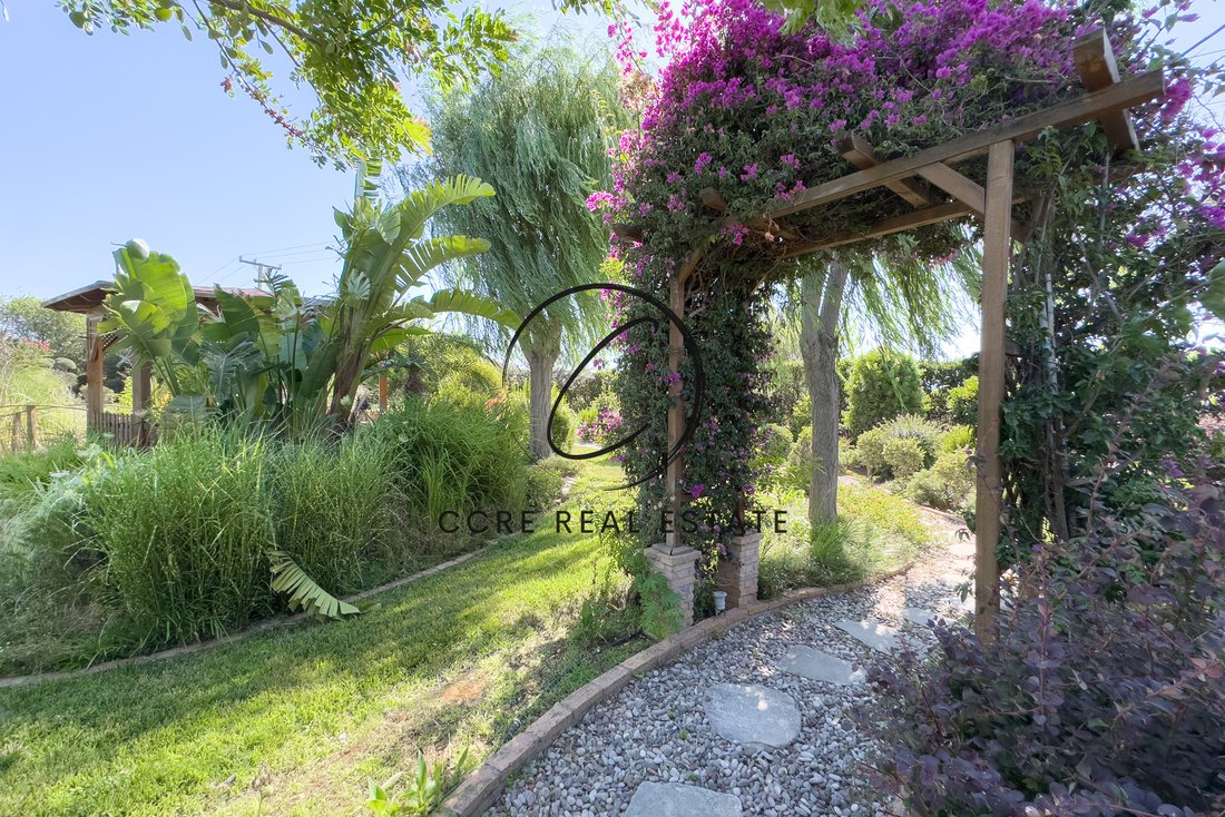House in Rafina, Attica, Greece 4 - 15998093