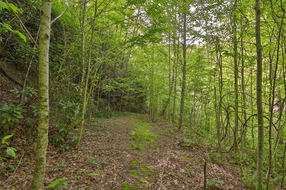 Land in North Carolina, United States 5 - 18043134