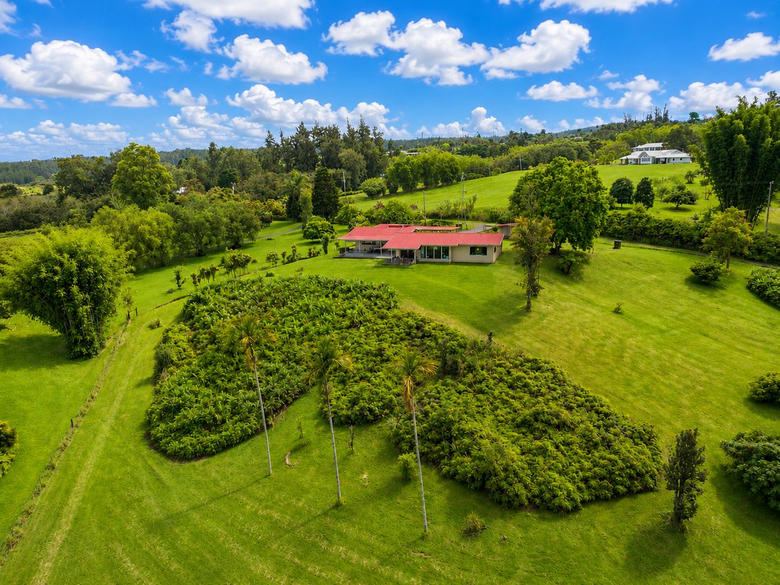 House in Hilo, Hawaii, United States 1 - 18040072