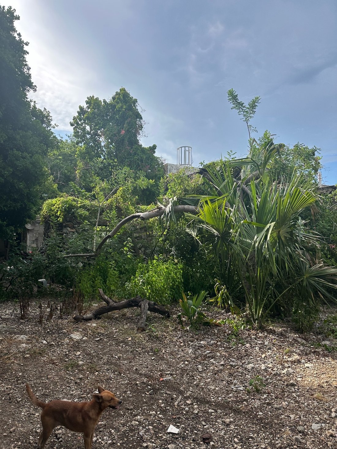 Land in Temozón Norte, Yucatan, Mexico 3 - 18035799