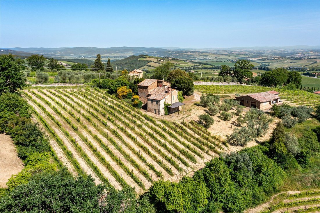 House in Montalcino, Tuscany, Italy 1 - 18038570