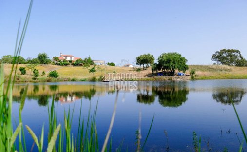 Farm Ranch in Ourique, Beja, Portugal 1