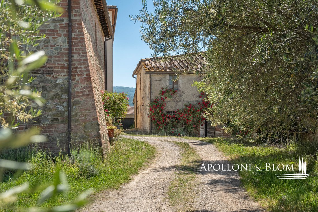 Arcidosso, Tuscany, Italy 4 - 15987393