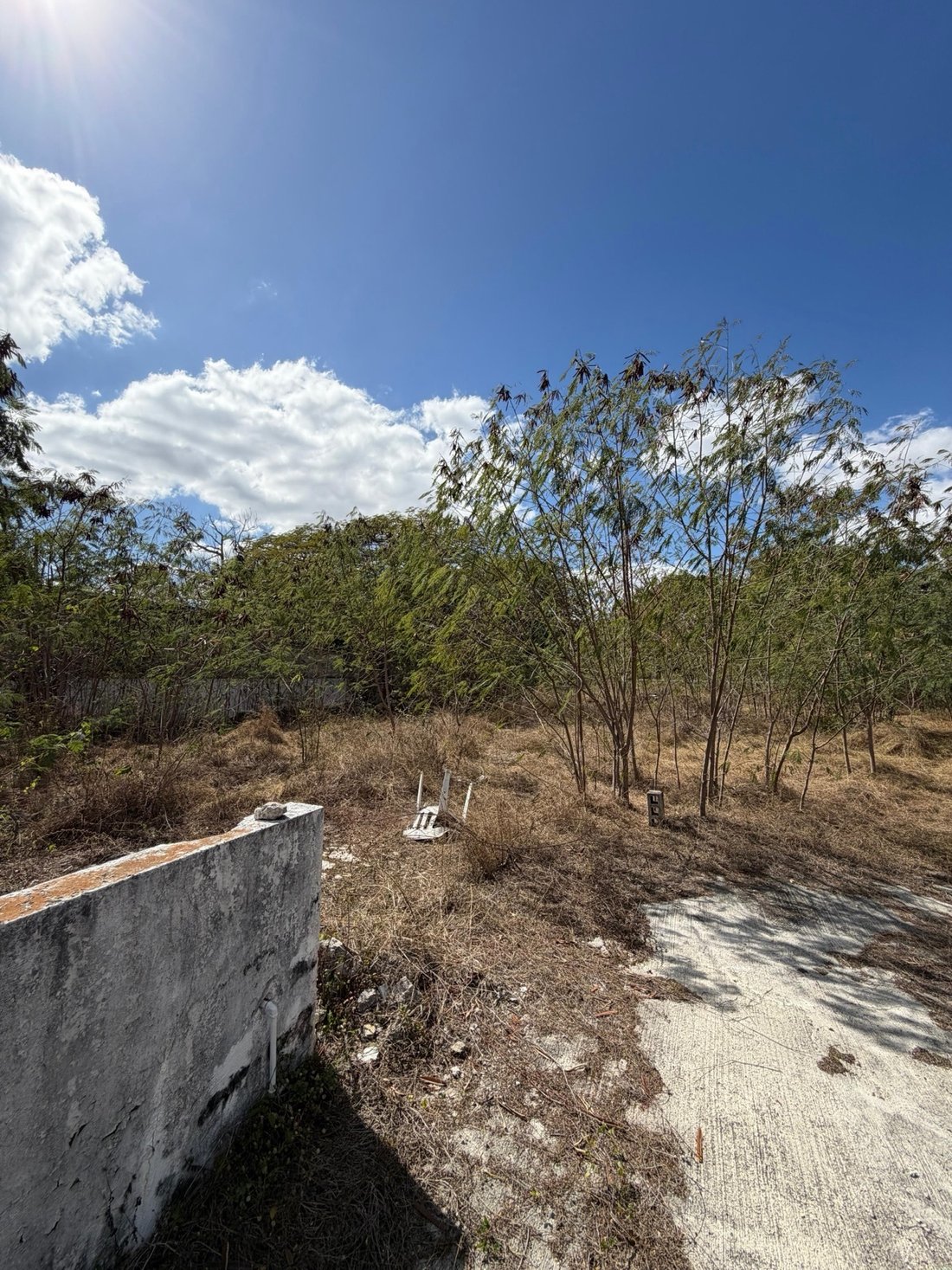 Land in Temozón Norte, Yucatan, Mexico 5 - 18035803