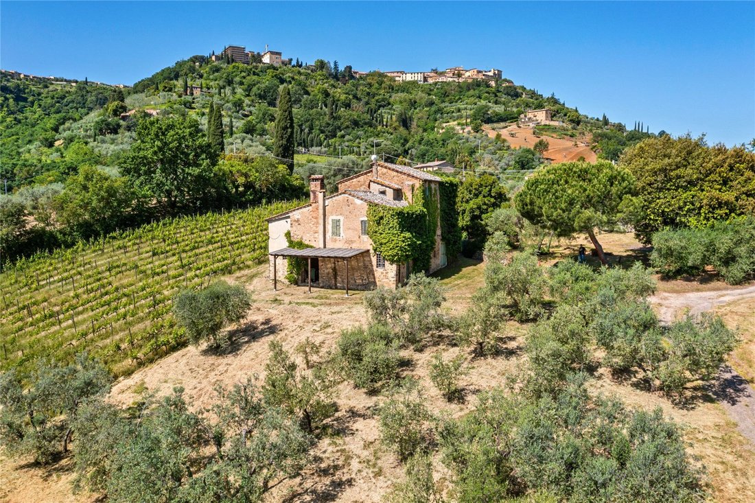 House in Montalcino, Tuscany, Italy 5 - 18038570