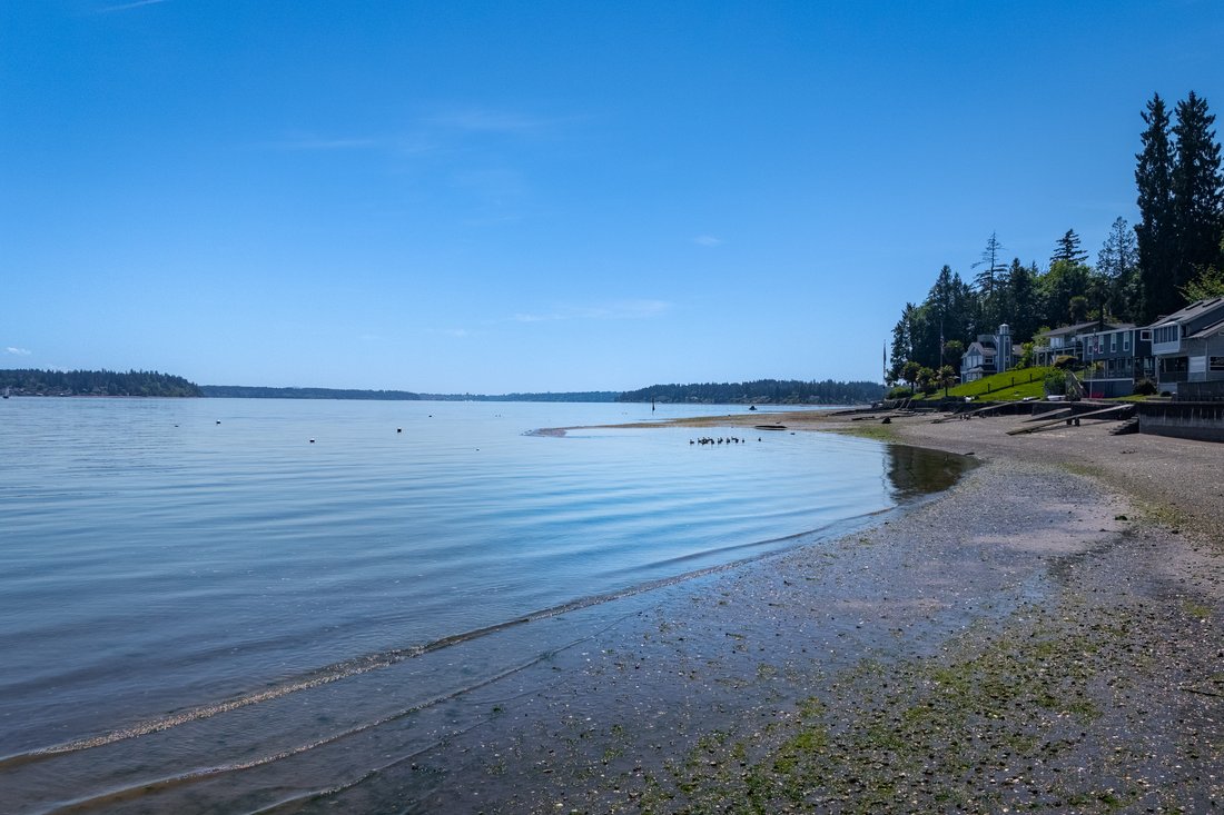 House in Olympia, Washington, United States 5 - 18040015