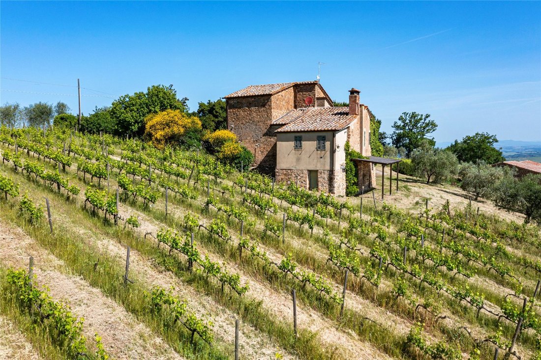 House in Montalcino, Tuscany, Italy 4 - 18038570