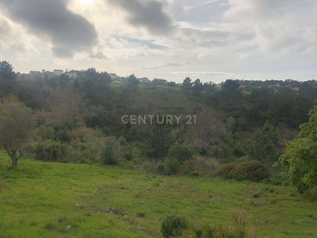 Land in Sesimbra (Castelo), Setubal, Portugal 5 - 14518771