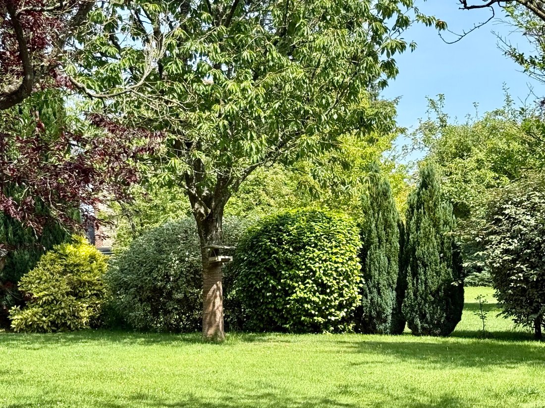House in Est, Franqueville-Saint-Pierre, France 5 - 18041041