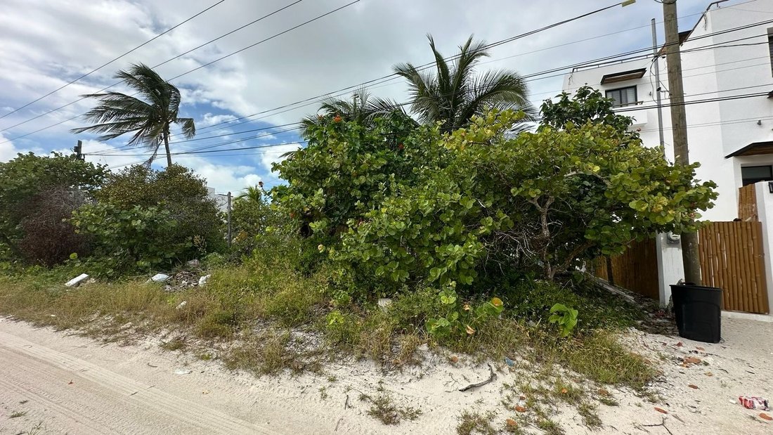 Land in San Benito, Yucatan, Mexico 1 - 18035794
