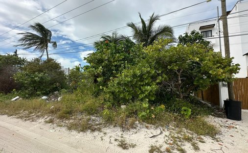 Land in San Benito, Yucatan, Mexico 1