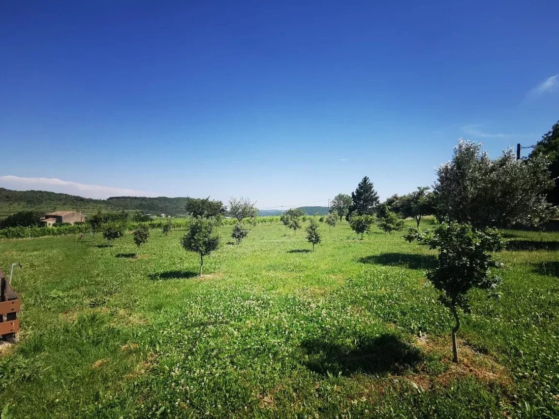 Villa in Alba-la-Romaine, Auvergne-Rhône-Alpes, France 4 - 18037076