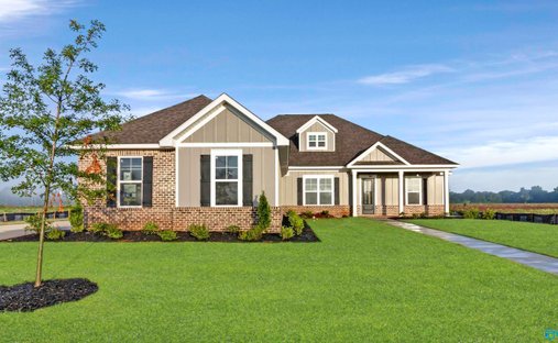 House in Madison, Alabama, United States 1