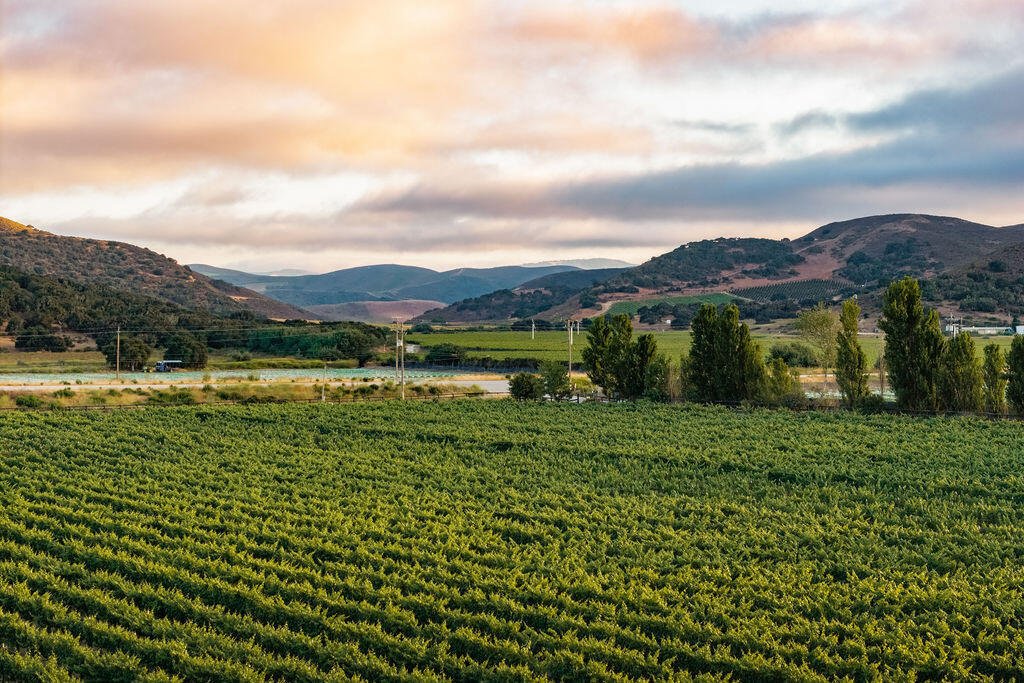 Farm Ranch in Lompoc, Kalifornien, Vereinigte Staaten 2 - 18040050