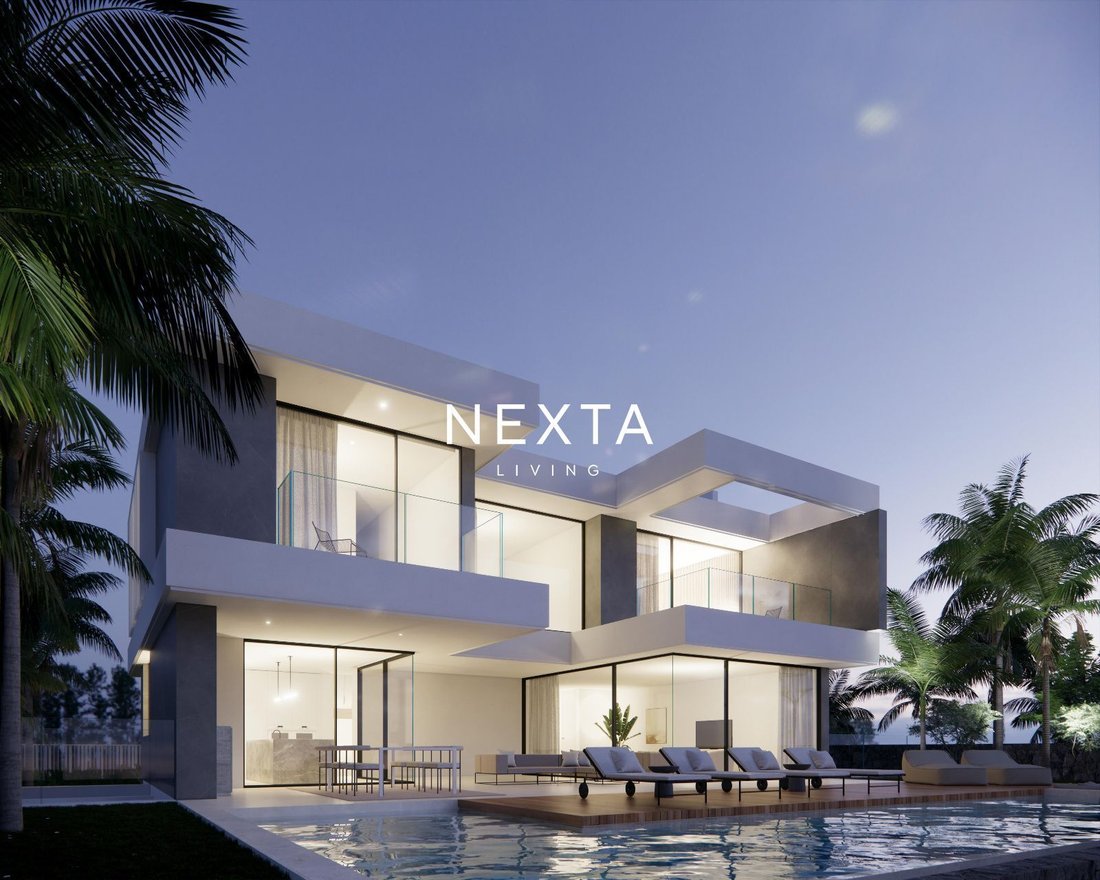 Villa in La Caleta, Adeje, Canary Islands 4 - 18036214