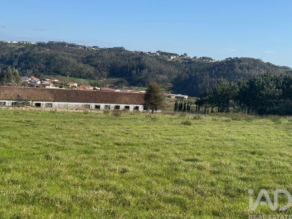 Land in Alcobaca e Vestiaria, Leiria District, Portugal 4 - 18045298