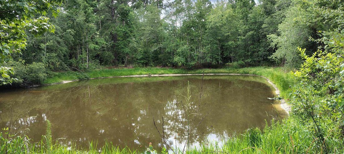 House in Greenville, Florida, United States 3 - 18035995