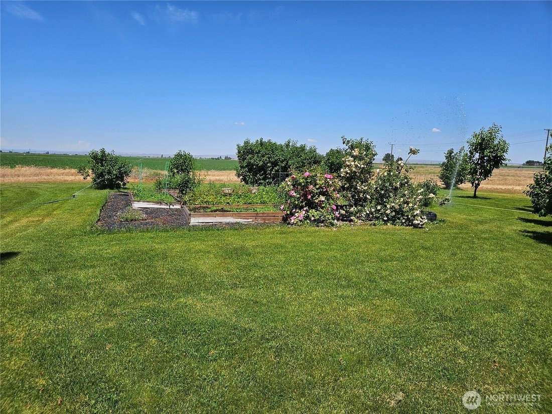 Farm Ranch in Quincy, Washington, United States 4 - 18038787
