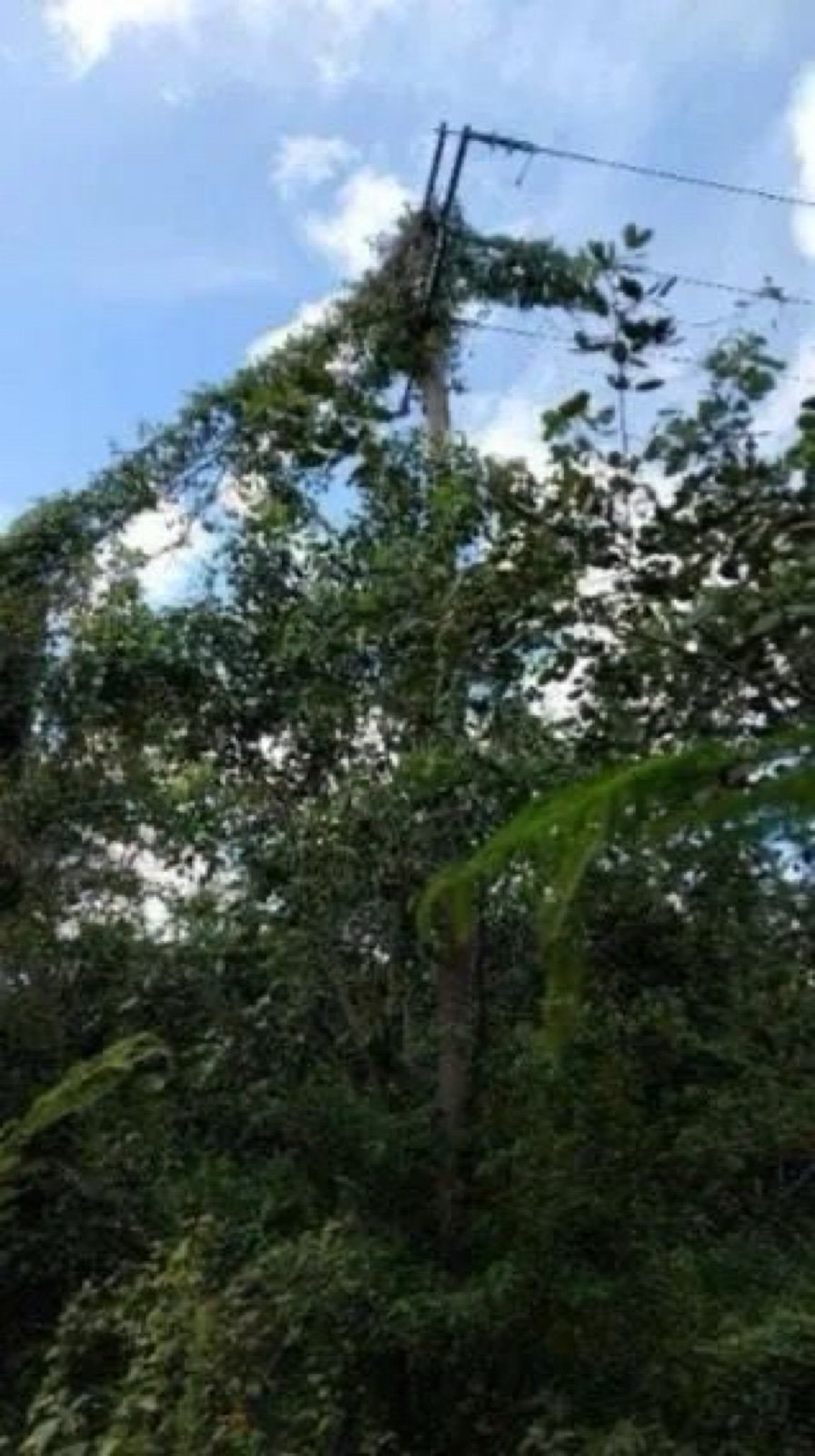 Land in Libre Unión, Yucatan, Mexico 5 - 18035781