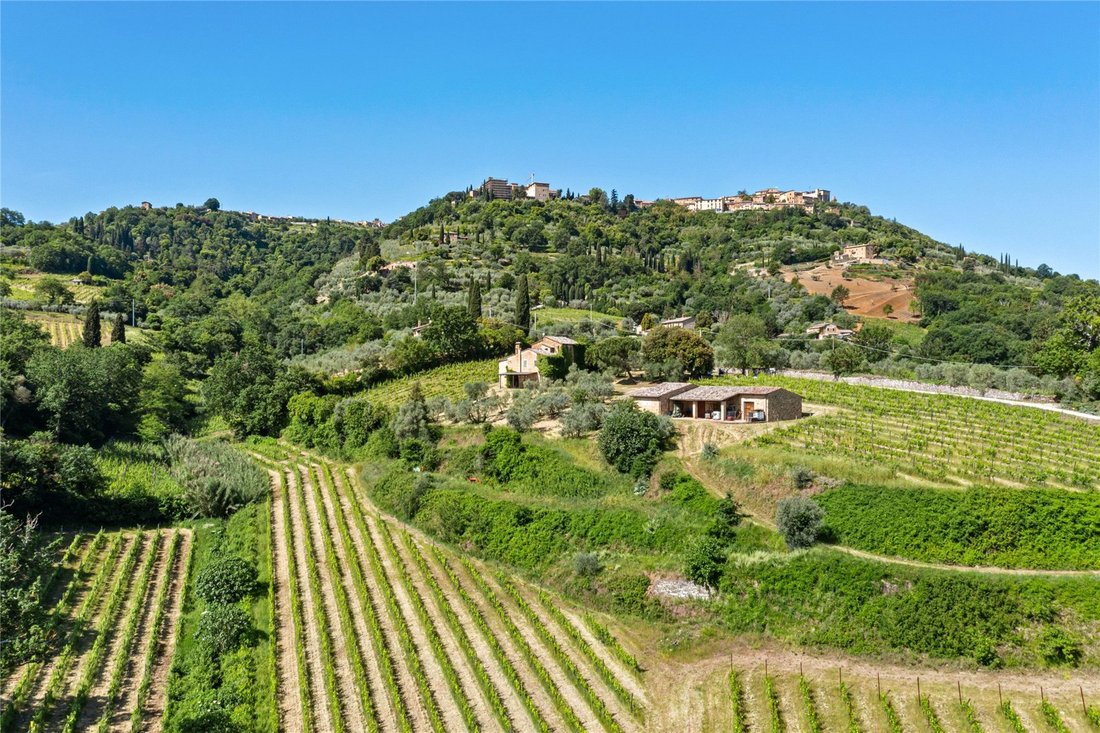 House in Montalcino, Tuscany, Italy 2 - 18038570