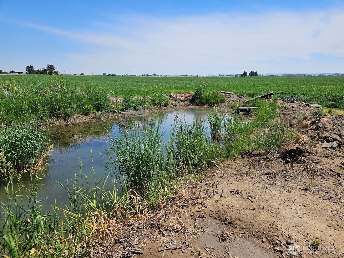 Farm Ranch in Quincy, Washington, United States 5 - 18038787
