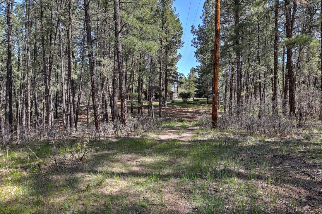 House in Pagosa Springs, Colorado, United States 3 - 18039762