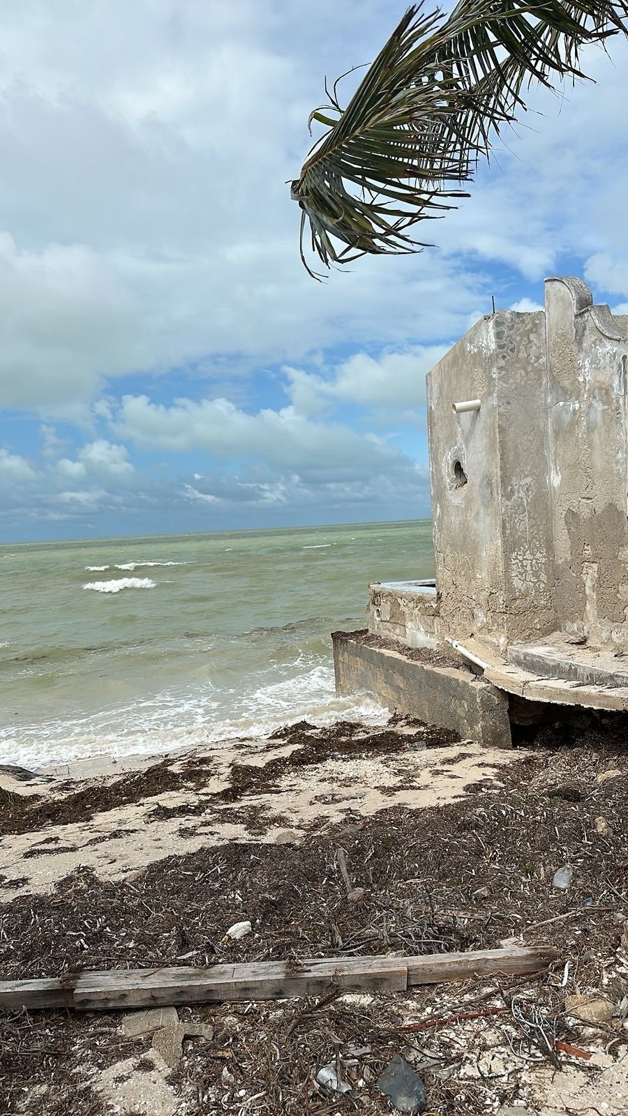 Land in San Benito, Yucatan, Mexico 2 - 18035794