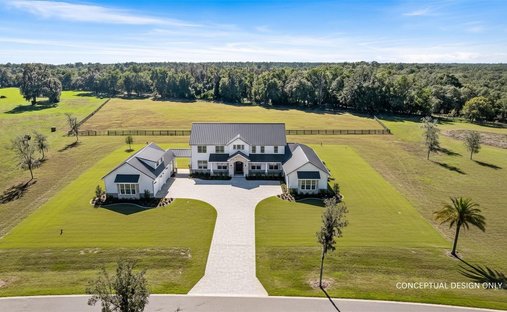 Land in Dunnellon, Florida, United States 1
