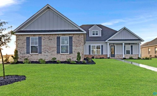 House in Madison, Alabama, United States 1