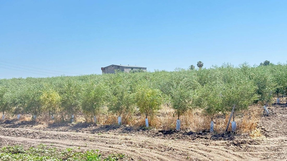 Land in Utrera, Andalusia, Spain 2 - 18049890