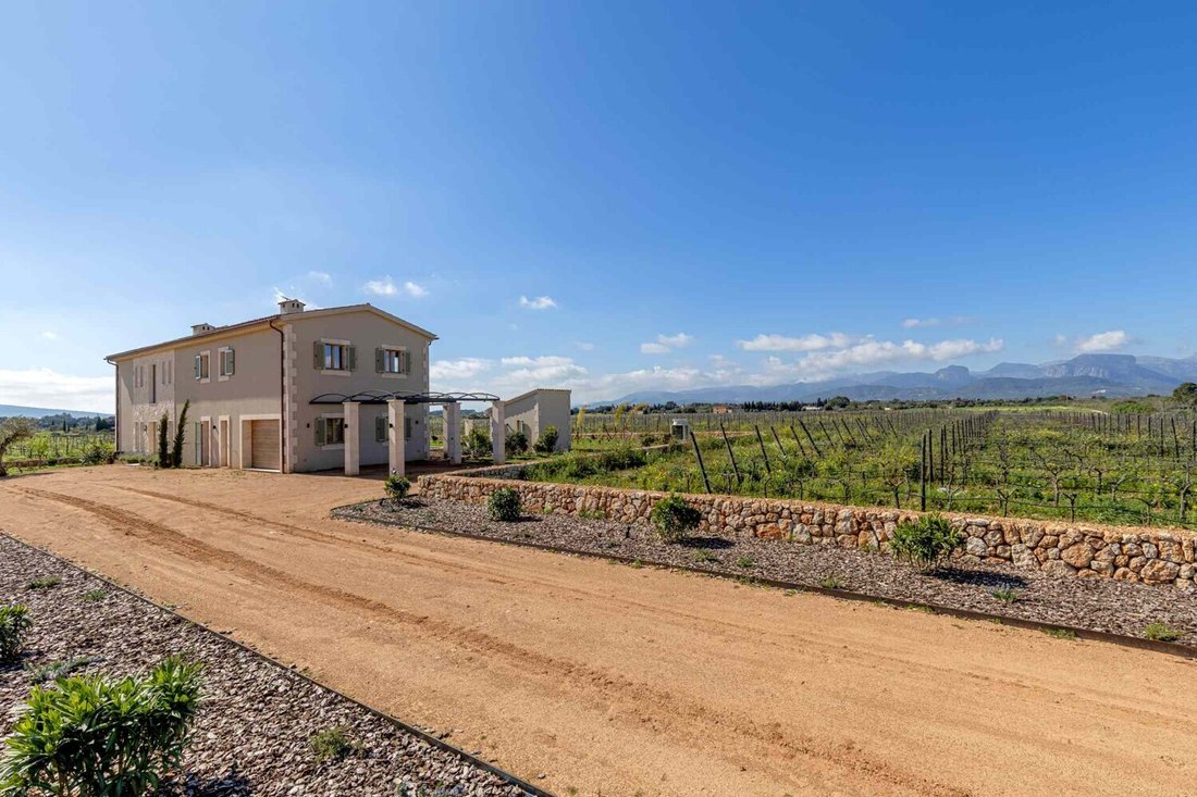 House in Binissalem, Balearic Islands, Spain 2 - 18043641